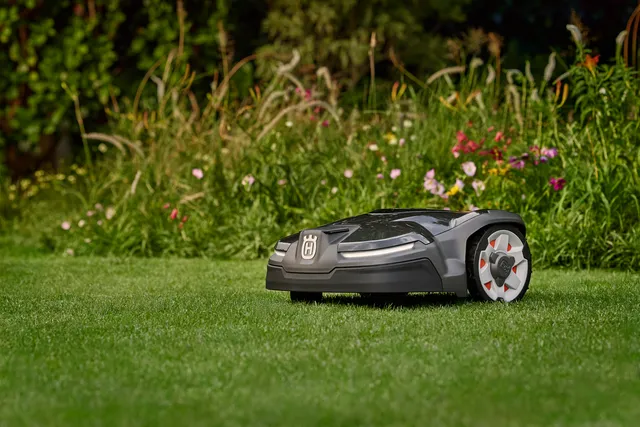 Režim ponovnog rasta (Rewilding Mode)